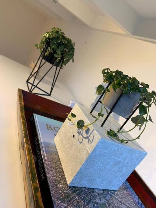Quiet Waterloft Near Amsterdam And Schiphol Ws17 Hotell Aalsmeer Exteriör bild